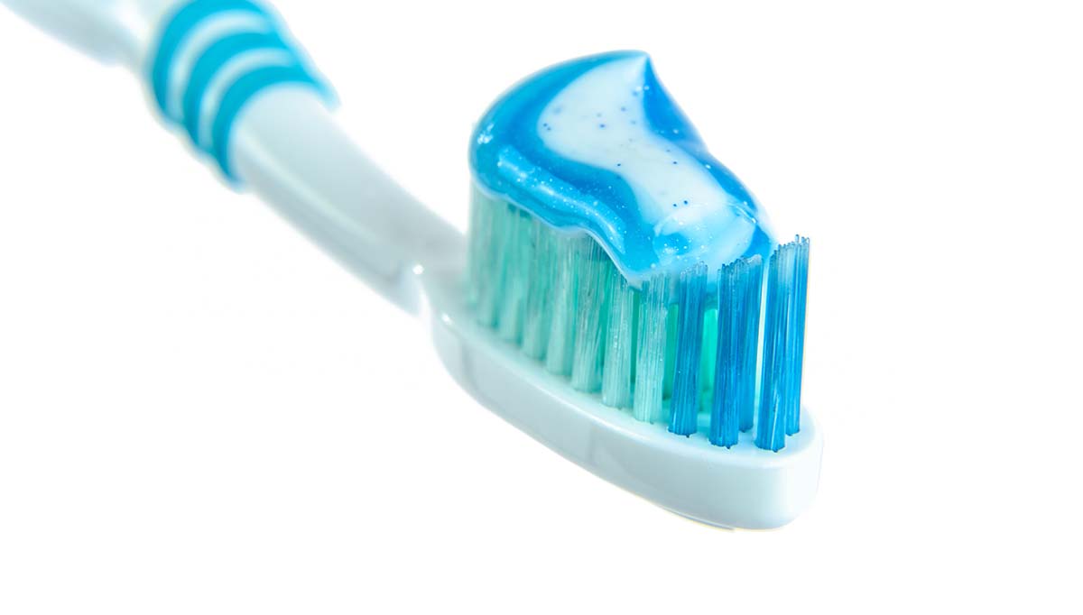 toothpaste-breed